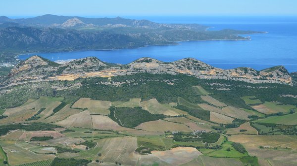 Comment trouver une location au camping Les Varennes à Bois plage sur l'île de Ré ?